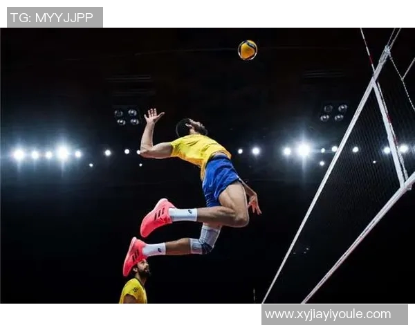 王秀英专访揭秘排球成功秘诀与背后故事